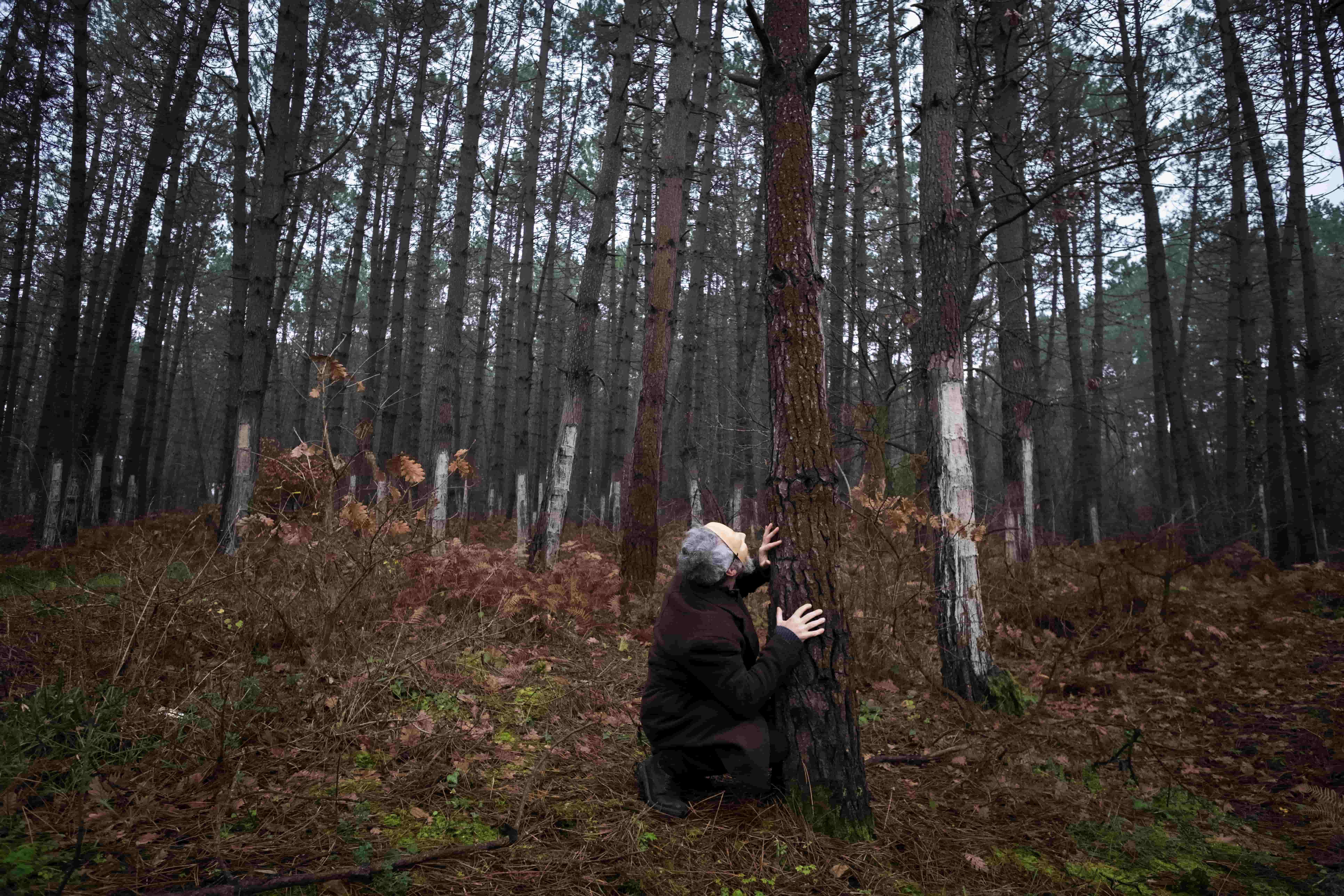 Deniz Boldaz Güncel Portre Fotoğrafı
